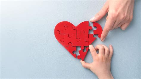 32 Types Of Nonprofits: The Complete List – Forbes .